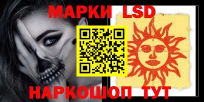 мдпв Новозыбков