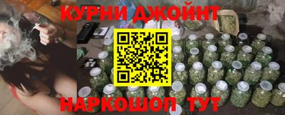 мдпв Новозыбков
