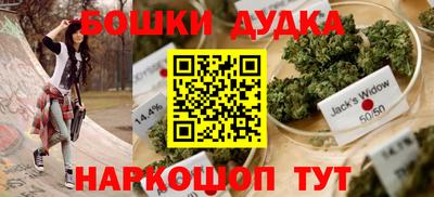 мдпв Новозыбков