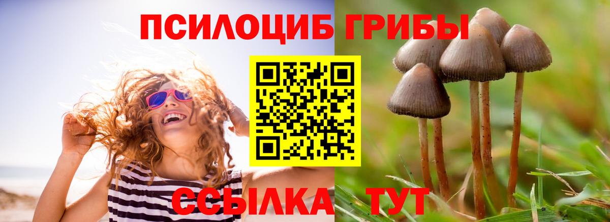 Сальск  Псилоцибиновые грибы GOLDEN TEACHER  Вход с VPN 